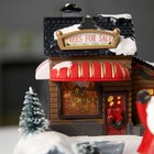 Фигура светодиодная "Поезд с игрушками 1" 20x20x16 см, USB, AAx3, Т/БЕЛЫЙ, ЗЕЛЕНЫЙ - Фото 6