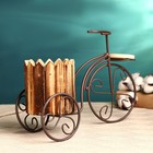 Кашпо-велосипед "Для самой нежной" 33х12х21см 9415295