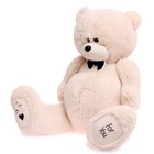 Мягкая игрушка «Мишка Дедди», цвет бежевый, 130 см - Фото 2