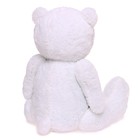 Мягкая игрушка «Мишка Дедди», цвет белый, 130 см - фото 3993114
