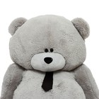 Мягкая игрушка «Мишка Дедди», цвет серый, 190 см - Фото 7