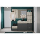 Комод Санти, 900х400х956, Антрацит/Дуб крафт серый - фото 12781360