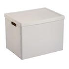 Короб складной для хранения BANJO - Фото 1