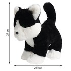 Мягкая игрушка «Чёрно-белый котёнок», 27 см - Фото 3
