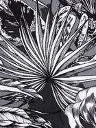 Шторы для кухни с подхватами «Этель» Palm leaves, 149×180 см, комплект - 2 шт. - Фото 5