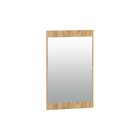 Зеркало навесное Нортон, 750х20х1180, Дуб крафт золотой - Фото 1