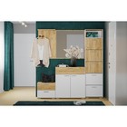 Тумба для обуви в прихожую «Санти», 5 ящиков, 550×280×2104 мм, цвет белый/дуб крафт золотой - Фото 3