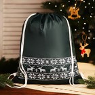 Мешок-рюкзак новогодний на шнурке, цвет зелёный - фото 10152457