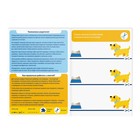 Настольная книга-игра «Учимся вырезать» простые линии, 22 стр, 3+ - Фото 2