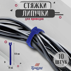 Стяжки-липучки для проводов 150Х10Х1,5 мм ТУНДРА, цвет синий, 10 шт. - фото 320366780