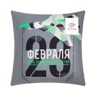 Подушка декоративная Этель «Самолёт. 23 февраля», 40×40 см, велюр, серая - Фото 6