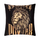 Подушка декоративная «Этель» Power, 40×40 см, велюр - фото 61892958