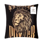 Подушка декоративная «Этель» Power, 40×40 см, велюр - фото 61892962