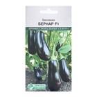 Семена Баклажан «Бернар», F1, 10 шт., «Евросемена» - Фото 1