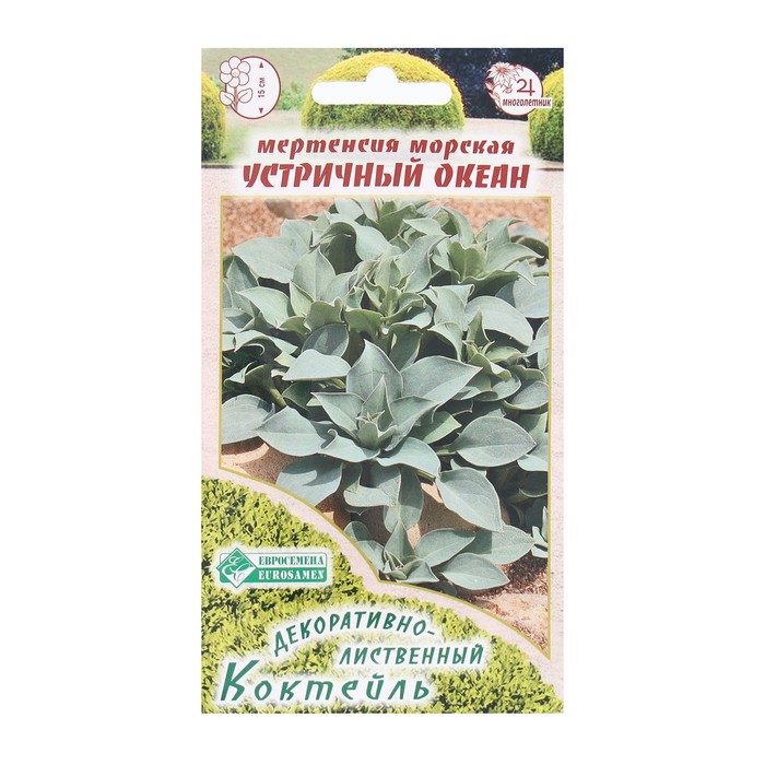 Семена Цветов Мертензия приморская Устричный Океан, 5 шт - Фото 1