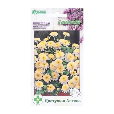 Семена Цветов Пиретрум девичий Сантана, 10 шт