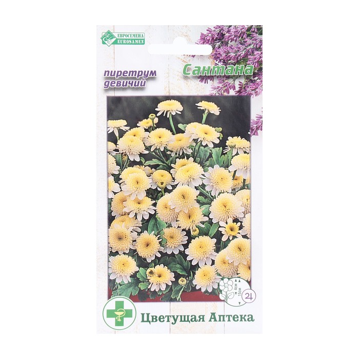 Семена Цветов Пиретрум девичий Сантана, 10 шт - Фото 1