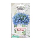 Семена цветов лобелия ампельная «Гамбург», 0.1 г - Фото 1