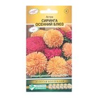 Семена Цветов Астра густомахровая Сиринга Осенний Блюз, 8 шт - Фото 1