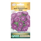 Семена Цветов Астра китайская Моя Прекрасная Леди, 0,1 г - Фото 1
