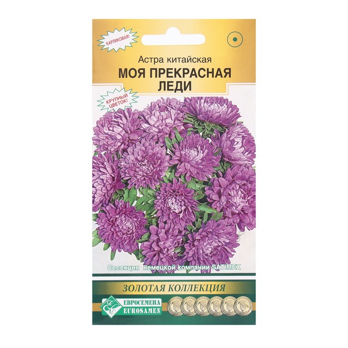 Семена Цветов Астра китайская Моя Прекрасная Леди, 0,1 г - Фото 1