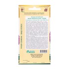 Семена Цветов Астра китайская Моя Прекрасная Леди, 0,1 г - Фото 2