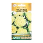 Семена Цветов Астра китайская Хризантелла Лимончелло, 5 шт - Фото 1