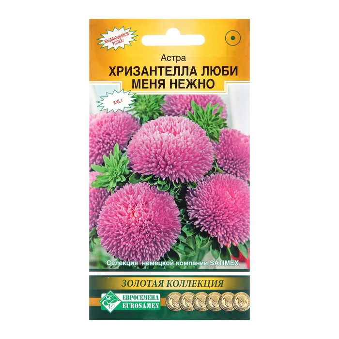 Семена Цветов Астра китайская Хризантелла Люби меня Нежно, 5 шт - Фото 1