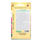 Семена Цветов Астра китайская Хризантелла Люби меня Нежно, 5 шт - Фото 2