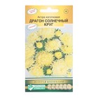 Семена Цветов Астра коготковая Драгон Селект Солнечный круг, 0,1 г - Фото 1