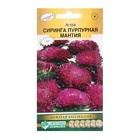 Семена Цветов Астра СИРИНГА Пурпурная мантия, 0,1 г - фото 9324951