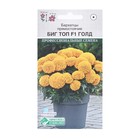 Семена Цветов Бархатцы прямостоячие Биг Топ F1 Голд, 10 шт. - Фото 1