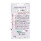 Семена Цветов Гацания жестковатая Талент Еллоу, для балкона, веранды, цветника, однолетник, низкорослая5 шт. - Фото 2