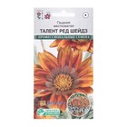 Семена Цветов Гацания жестковатая Талент Ред Шейдз, для балкона, веранды, цветника, однолетник, низкорослая5 шт. - Фото 1