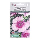 Семена цветов гвоздика межвидовая чиба «Лилак Пикоти», 5 шт. - Фото 1