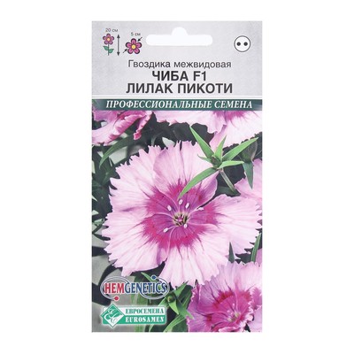 Семена цветов гвоздика межвидовая чиба «Лилак Пикоти», 5 шт.