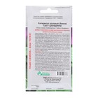 Семена Цветов Катарантус розовый, Винка Тату Блуберри, 5 шт - Фото 2