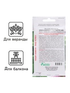 Семена цветов петуния каскадная «Опера Суприм Распберри Айс F1», 3 драже - Фото 3
