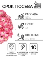 Семена Цветов Петуния крупноцветковая «Долина Розовых Грез F1», 10 драже - Фото 2