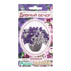 Семена Цветов Цветочная композиция Дивный Вечер, 8 драже - Фото 1