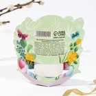 Открытка держатель для яйца «Светлой Пасхи!», 12.7×13 см - Фото 4