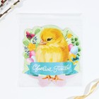 Открытка держатель для яйца «Светлой Пасхи!», 12.7×13 см - Фото 5