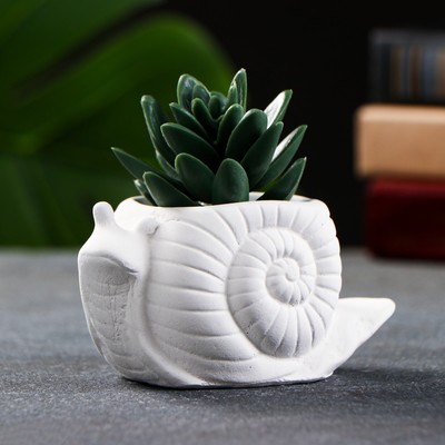 Декоративное кашпо для цветов «Улитка», 100 мл, 11×6×6 см, гипс, белое