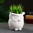 Декоративное кашпо для цветов «Совушка», 250 мл, 11×10×10 см, гипс, белое - фото 64552152