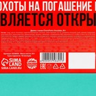 Драже шоколадное «Ипотека погасин», 20 г. - Фото 5