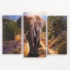 Часы настенные модульные, серия: Животные, "Слон", 60 х 80 см - фото 3028717