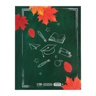 Папка школьная с креплением «Портфолио школьника», 10 листов-разделителей, 21.5×30 см - Фото 8