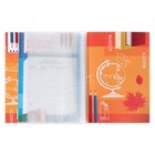 Папка школьная с креплением «Портфолио школьника», 10 листов-разделителей, 21.5×30 см - Фото 7