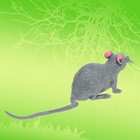 Фигурка-тянучка «Животные со всего света», МИКС - Фото 7