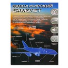 Самолёт металлический «Пассажирский», инерционный, световые и звуковые эффекты, цвет бело-синий - фото 8950926
